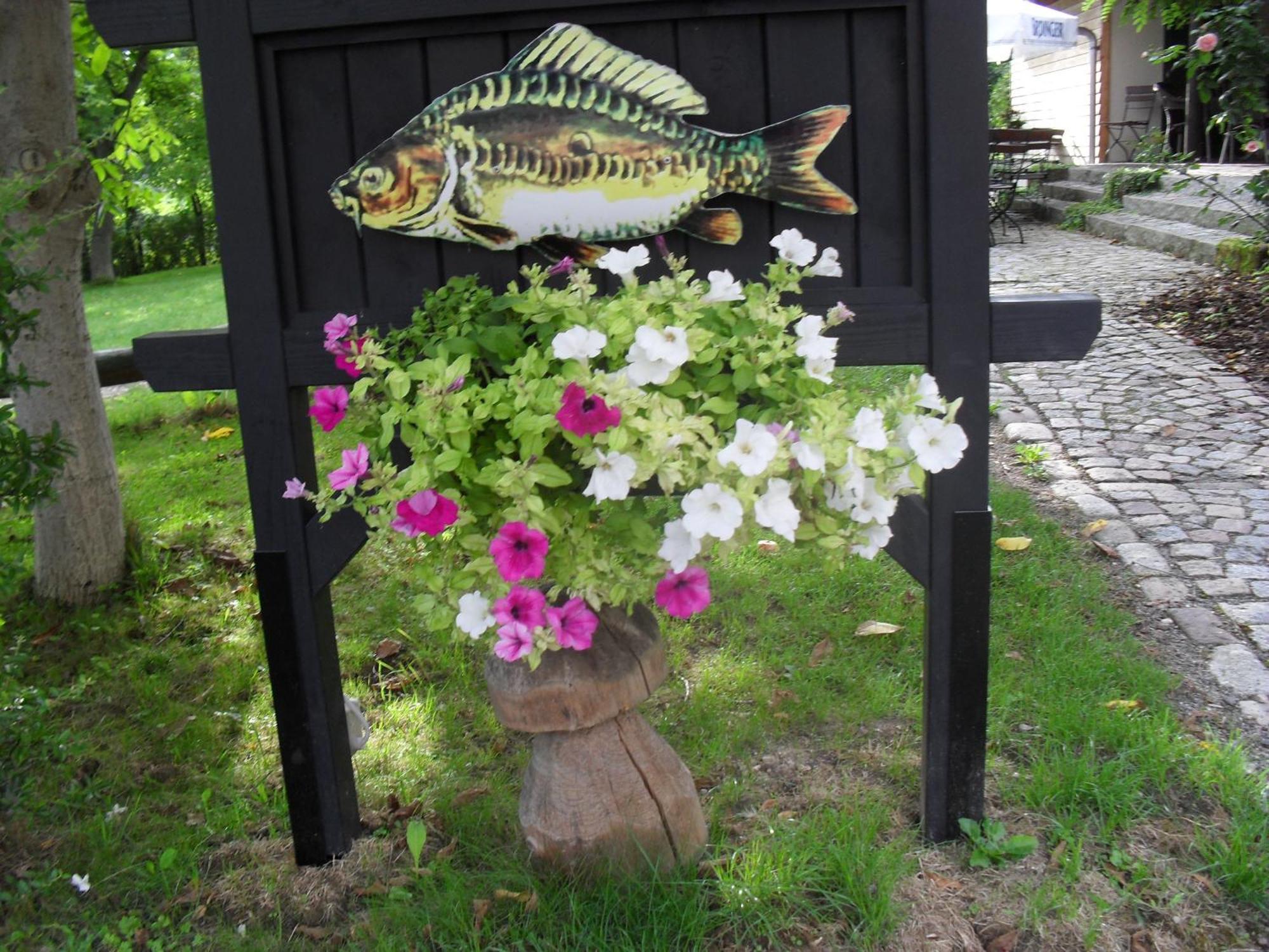 Fischerhof Crimmitschau Rom bilde